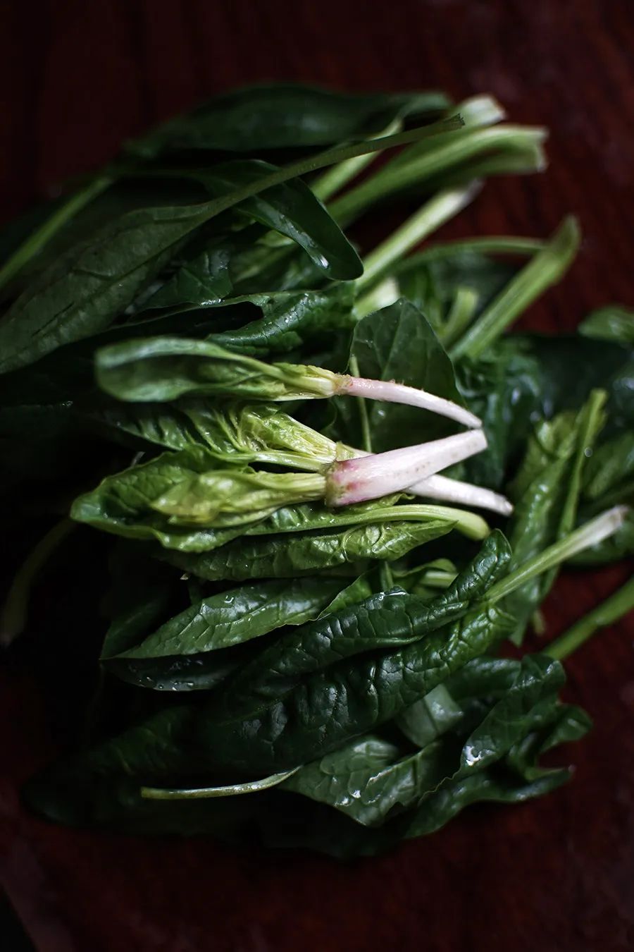 猪肝菠菜汤